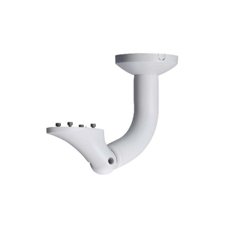 Soporte a Techo Para Carcasas F133X250X314 Mm...