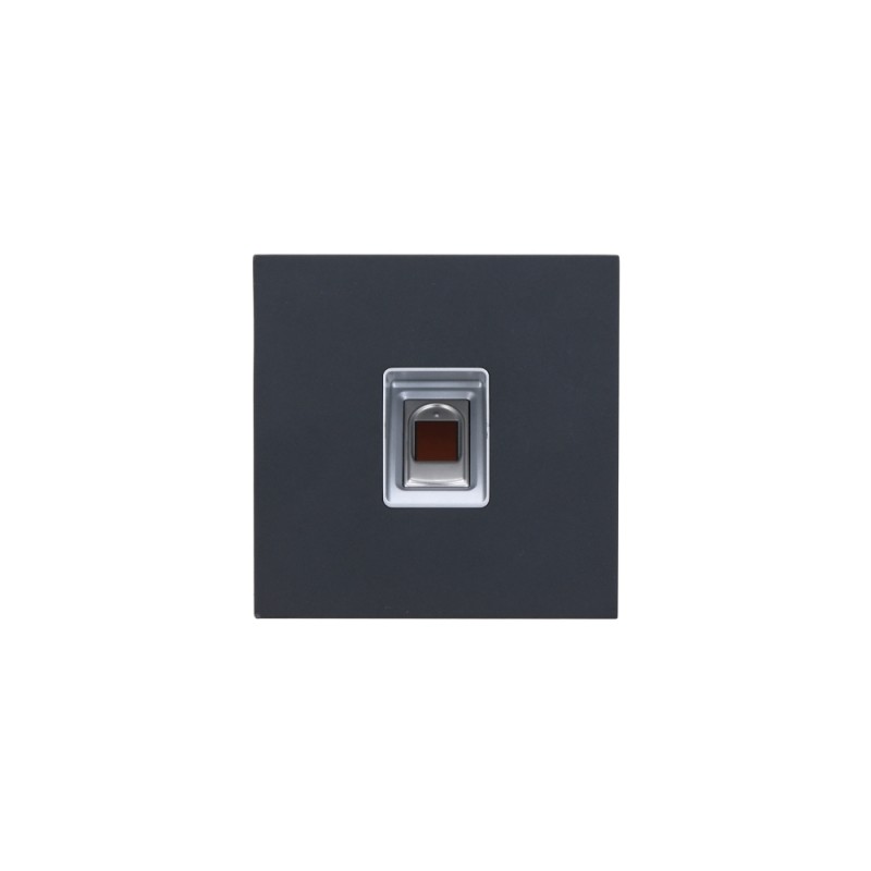 Module de lecteur d'empreintes digitales pour...