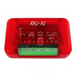 Ricevente Radio Ricevitore 2 Ch Universale Compatibile...