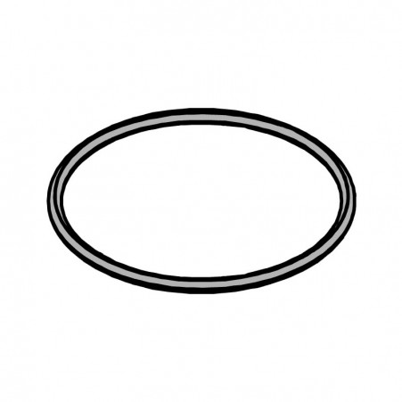 Junta Or 55,25X2,62 (3218) FAAC 63000176 10PZ