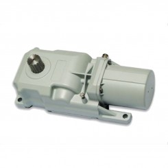 Motorantrieb für unterirdische Drehtore GENIUS ROLLER 24V...